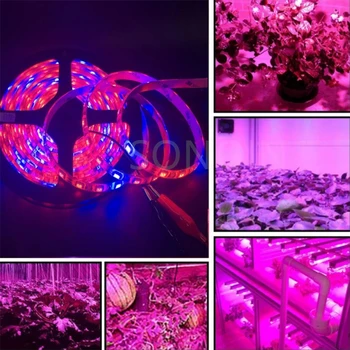 5M LED Bitki Büyümek Şerit İşıklar DC12V USB Tam Spektrum Çiçek Phyto Lamba topraksız sera Büyüme Işığı + Güç Adaptörü