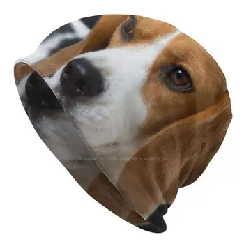 Beagle Siyah Örme Şapka Sıcak Bere Açık Kapaklar Köpekler Komik Yavru Köpek Sevimli Güzel Seviyorum Romantik Popüler Evcil Hayvanlar