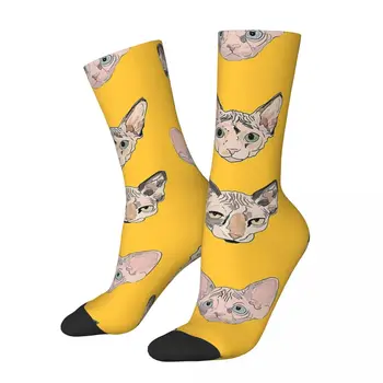 Komik Çılgın Çorap Erkekler için Sphynxes Hip Hop Harajuku Sphynx Tüysüz Kedi Mutlu Dikişsiz Desen Baskılı Erkek Ekip Çorap Hediye